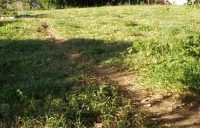 Imagem 11: Fazenda produtiva. 