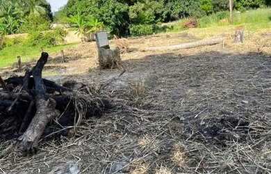 Imagem 1: Vende-se terreno. 550m² de Área