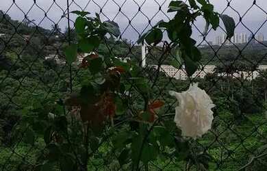 Imagem 9: Condomínio Moradas do Itanhangá com lazer e segurança para a família