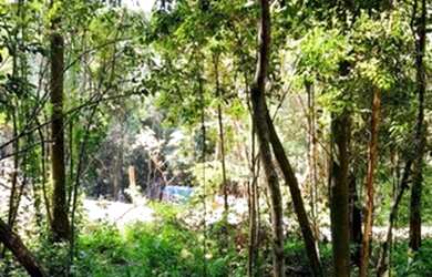 Imagem 7: Chácara à venda em Taquara RS, Na localidade de Fazenda Fialho