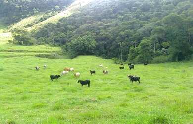 Imagem 7: Fazenda/Sítio/Chácara para venda possui 930000 metros quadrados com...