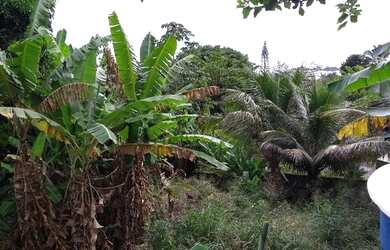 Imagem 5: Terreno à venda, 1135 m² por R$ 550.000,00 - Praia Grande - Ilhabela/SP