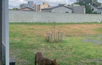 Imagem: Oportunidade única excelente terreno com 930 m² em Penha