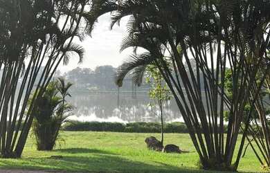 Imagem 13: Terreno à venda, 3412 m² por R$ 1.000.000,00 - Condomínio Vivendas...