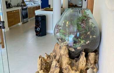 Imagem 10: Cheia de luz Casa em condomínio com 5 dormitórios