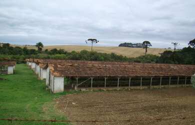 Imagem: A fazenda está localizado em Área Rural de Araucária, Araucária