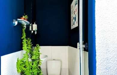 Imagem 10: Reserva mundo verde - casa 4/4