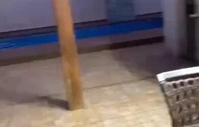 Imagem 3: ALUGO CASA VILAGE DAMHA I RIO PRETO - R$ 3.600,00 - 3 DORMS PISCINA