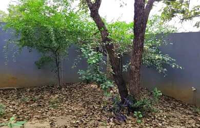 Imagem 6: Casa a venda. 1 Banheiroe2 Dormitórios