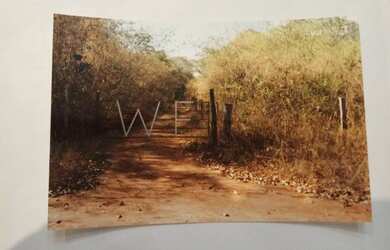 Imagem 15: Chácara na serra da mesa