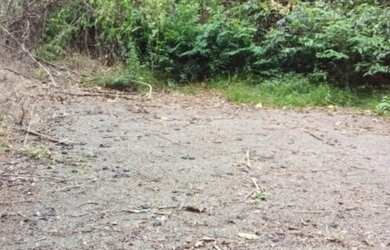 Imagem 2: Chácara à venda em Taquara RS, Na localidade de Fazenda Fialho