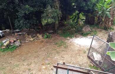 Imagem 3: Terreno à venda, 1135 m² por R$ 550.000,00 - Praia Grande - Ilhabela/SP