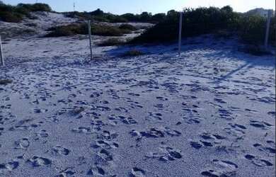 Imagem 6: Lote à venda, Praia do Flamengo - Salvador/BA