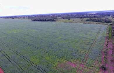 Imagem: A fazenda está localizado em Plano Diretor Sul, Palmas à venda