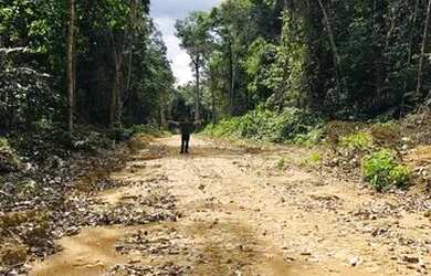 Imagem: O terreno possui 1000m² de Área e está localizado em Cidade