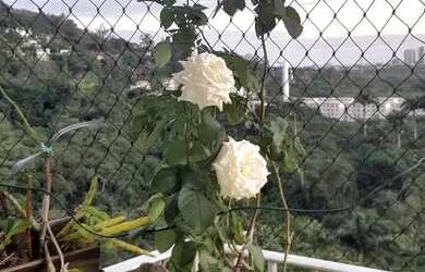 Imagem 11: Condomínio Moradas do Itanhangá com lazer e segurança para a família