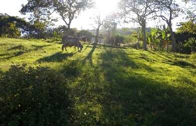 Imagem 2: Fazenda produtiva. 