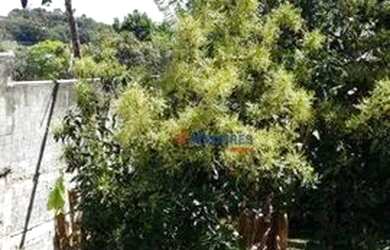 Imagem 12: Casa para alugar, 450 m² por R$ 20.435,00 - Paisagem Renoir - Cotia/SP