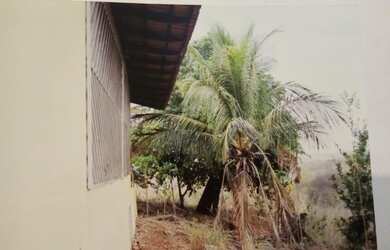 Imagem 6: Chácara na serra da mesa