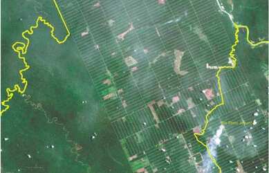 Imagem: A fazenda possui 257000m² de Área e está localizado em Cujubim