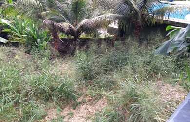 Imagem 6: Terreno à venda, 1135 m² por R$ 550.000,00 - Praia Grande - Ilhabela/SP