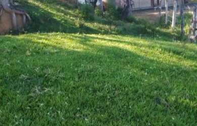 Imagem 7: Fazenda produtiva. 