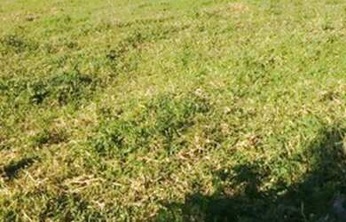 Imagem 3: Fazenda produtiva. 