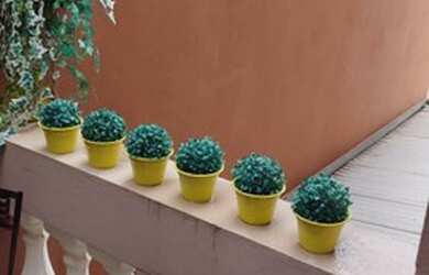 Imagem 13: JAGUARIÚNA - Casa Padrão - JARDIM EUROPA