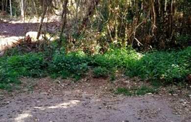 Imagem 8: Chácara à venda em Taquara RS, Na localidade de Fazenda Fialho