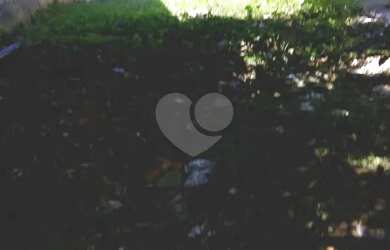 Imagem 1: Terreno na Vila Bela. 547m² de Área