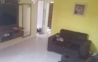 Imagem 7: Casa. 2 Vagas na garageme2 Dormitórios