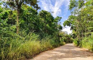 Imagem: O terreno possui 1.000m² de Área, Imóvel novo e está localizado