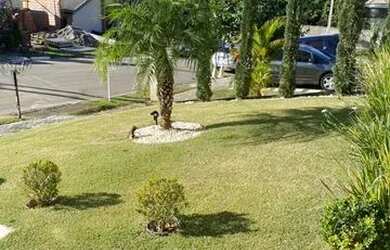 Imagem 6: Sobrado no Condomínio Terras de Atibaia em Atibaia SP. Piscina, área...
