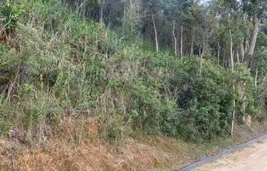 Imagem 5: Terreno com vista espetacular, ótima topografia, aceita negociação