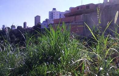 Imagem 4: Belo Horizonte - Loteamento/Condomínio - Ouro Preto