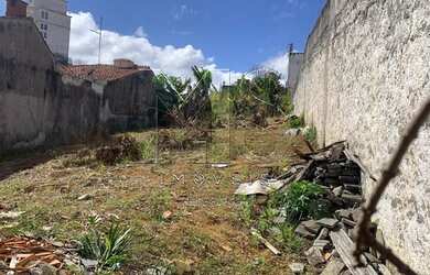 Imagem 4: Terreno à venda, 600 m² por R$ 450.000,00 - Vila Oliveira - Mogi das...