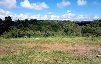 Imagem: O terreno está localizado em Tamboré, Santana de Parnaíba