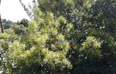 Imagem 7: Casa para alugar, 450 m² por R$ 20.435,00 - Paisagem Renoir - Cotia/SP