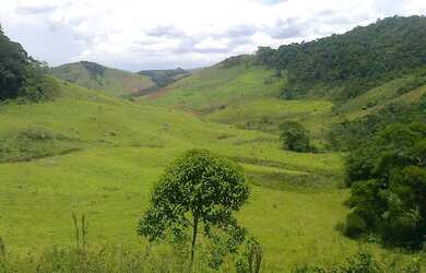 Imagem 12: Fazenda/Sítio/Chácara para venda possui 930000 metros quadrados com...