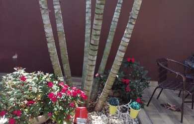 Imagem 2: JAGUARIÚNA - Casa Padrão - JARDIM EUROPA