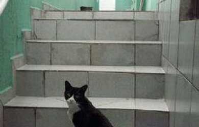 Imagem 15: Casa com 2 dormitórios, 150 m² - venda por R$ 450.000,00 ou aluguel...