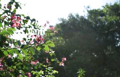 Imagem 4: Condomínio Pedra Verde Maricá - Venha morar cercado da natureza