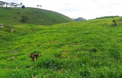 Imagem 4: Fazenda/Sítio/Chácara para venda possui 930000 metros quadrados com...