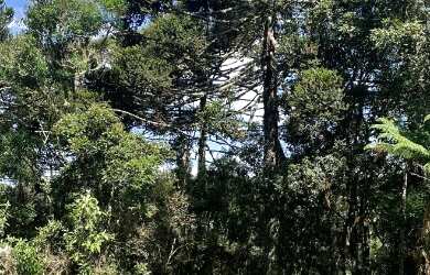 Imagem 3: Morro da Igreja. 33.000m² de Área