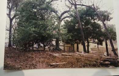 Imagem 7: Chácara na serra da mesa