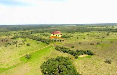 Imagem 6: Fazenda para Venda em Nova Rosalândia