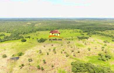 Imagem 16: Fazenda para Venda em Nova Rosalândia