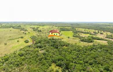 Imagem 8: Fazenda para Venda em Nova Rosalândia