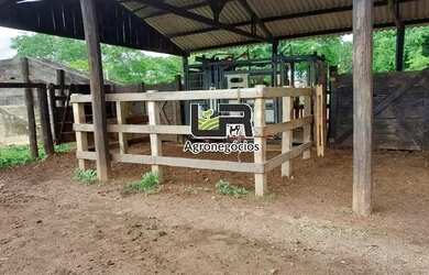 Imagem 4: Fazenda de 2.574 Alqueires em Formoso do Araguaia To