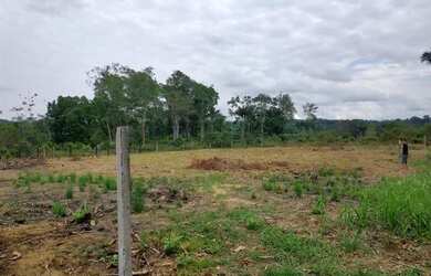 Imagem 3: Terreno no brasileirinho. 800m² de Área